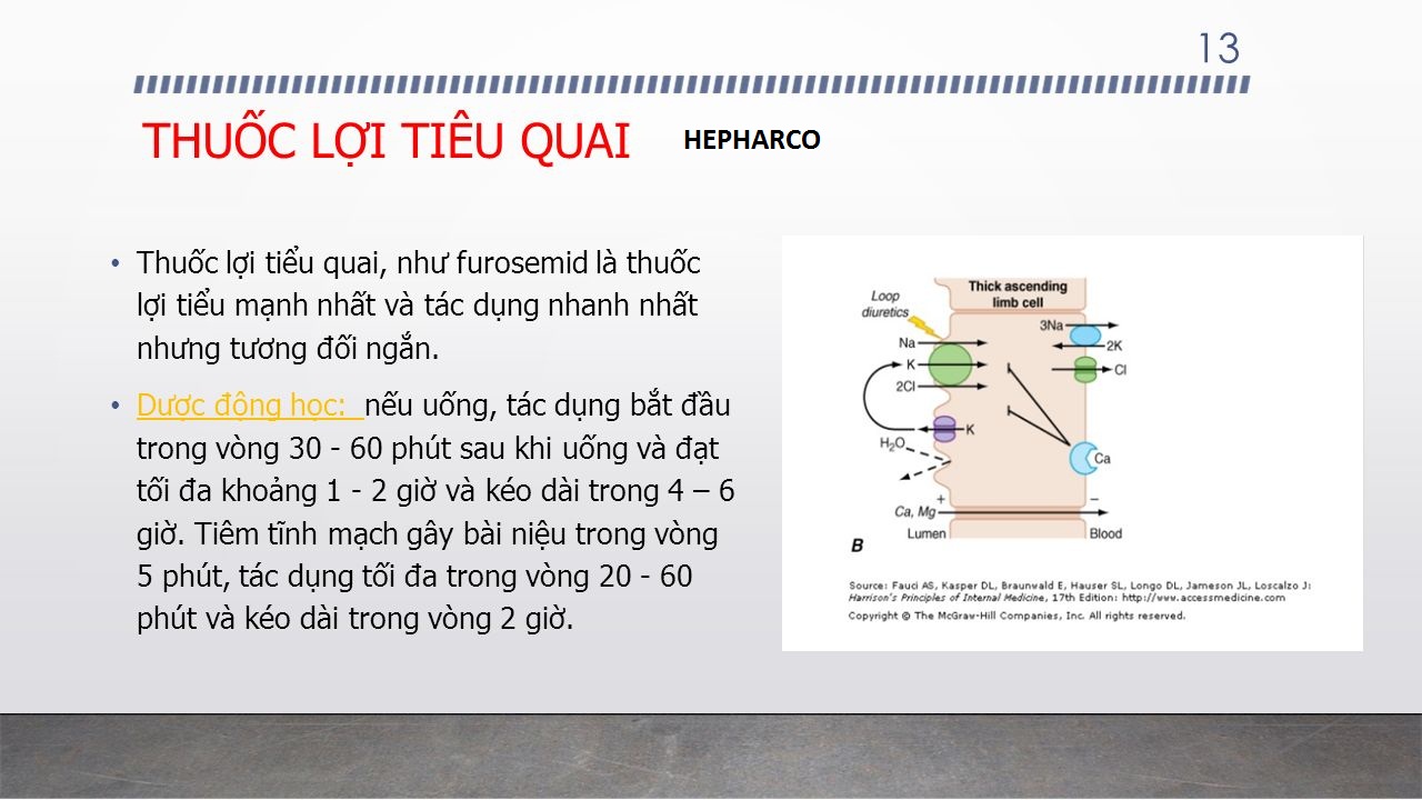 Thuốc furosemid